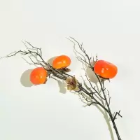 1支3头黄扁柿子 带霜仿真柿子果树枝假花摆件浆果客厅家居软装干插花事事如意摆件