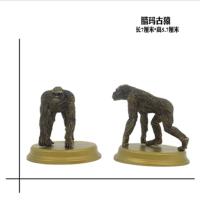 腊玛古猿 2019仿真人偶模型 人类进化论 猿人进化史猿人古生物静态摆件玩具