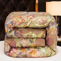 朵拉庄园-咖 200*230CM[约4斤春秋被] 2米大豆纤维被子冬被芯单双人学生宿舍用加厚保暖春秋丝绸棉被子