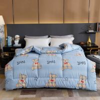 萌萌小熊 110*150cm 儿童空调被 被子冬被芯羽丝棉被加厚保暖春秋被空调被学生宿舍单人双人被褥子