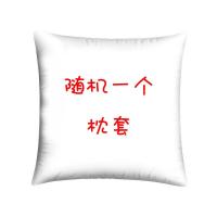 随机一个款式枕套 40*40cm(只有枕套) 卡通女生可爱抱枕双面哆啦A梦蓝胖子叮当猫靠垫儿童生日礼物抱枕
