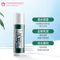 1支装 日本近江兄弟OMI润唇膏薄荷润男女士 4g 滋润持久保湿 唇部护理