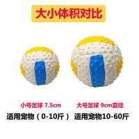 排球1个(乳胶材质) 适用于小狗狗(0-10斤) 乳胶发声球狗狗玩具耐咬宠物用品狗玩具宠物玩具金毛用品玩具球