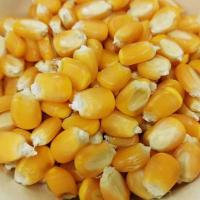 1斤精选玉米 云南自产自销普通玉米钓鱼打窝喂鸡鸭兔子鸽子饲料磨面颗粒饱满
