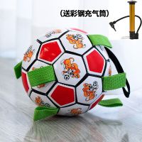 红白足球15CM[普通内胆+打气筒] 狗狗足球玩具宠物互动球耐咬磨牙神器金毛柯基大小型犬抛掷弹力球