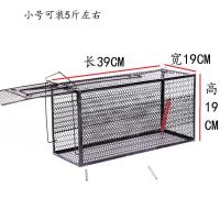 小号:抓1-5斤猫笼[2月小猫] 捕猫笼抓猫神器诱捕笼猫全自动捉猫笼子逮猫神器野猫流浪猫救助笼
