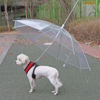 均码 中下型犬/猫使用宠物雨伞 宠物用品雨具狗狗雨伞创意牵引绳小狗雨衣带链泰迪比熊小型犬雨披