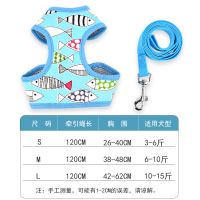 蓝色小鱼 S:建议2-7斤的喵 猫咪牵引绳胸背带英短蓝猫防挣脱背心式遛猫绳幼猫栓猫绳子防逃脱