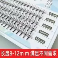 假睫毛女自然送胶水镊子芭比夹心花仙子混合长度款单簇仙子毛睫毛 假睫毛女自然送胶水镊子芭比夹心花仙子混合长度款单簇仙子毛睫