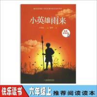 快乐读书吧六年级上册小英雄雨来童年爱的教育课外阅读全套四本