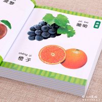 童眼识天下[认物大全] 宝宝早教认物大全启蒙认知书0-6岁幼儿看图识字认字大王幼儿绘本