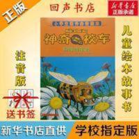 神奇校车奇妙的蜂巢 神奇校车奇妙的蜂巢注音版平装绘本小学生必读绘本贵州人民出版社