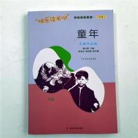 童年 南京大学出版六年级上下小英雄雨来/爱的教育/童年/鲁滨逊漂流记