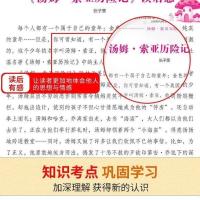 汕头大学系列 鲁滨逊漂流记[含考点 名师导读] 鲁滨逊漂流记 汤姆索亚历险记 爱丽丝漫游奇境 骑鹅旅行记六年级