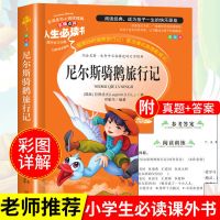 尼尔斯骑鹅旅行记 骑鹅历险记汤姆索利亚历险记六年级下册必读课外书鲁滨逊漂游记流