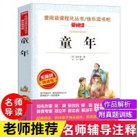 [六年级上册必读考点注释]爱阅读版本 [天地出版社]爱阅读-童年-1本 童年六年级上册必读课外书小英雄雨来人教版爱的教育