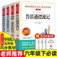 六年级必读版(赠考点手册) 汤姆索亚(名家名译版)无赠品 鲁滨逊漂流记汤姆索亚历险记骑鹅旅行记正版六年级下册必读课外书