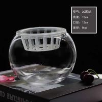 20圆球(送水培篮子+营养液) 水培植物玻璃瓶水培绿萝花瓶花盆大号玻璃圆球型水养鱼缸器皿容器