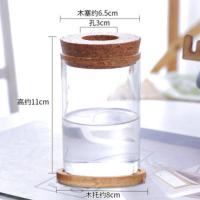 圆柱型玻璃瓶 创意玻璃瓶水培透明迷你小花瓶摆件客厅养花植物桌面小摆件工艺品