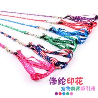 简单款兔绳子(多种颜色花纹随机发) 买就送磨牙棒+零食 兔绳 兔子牵引绳 溜兔绳 宠物兔外出散步绳子
