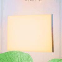 洗脸扑粉细软绵绵海绵舒服款 洗脸扑粉细软绵绵海绵舒服款