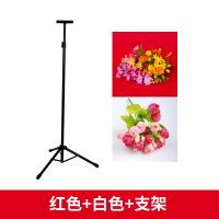 1米宽*1.5米红+白 可移动背景架证件照背景布寸照快照拍照背景T型架加厚摄影无纺布