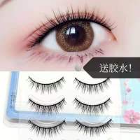[假睫毛]5对装+胶水 自然仿真假睫毛3D柔软送胶水5对装组合装