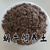 钙土200克 白玉蜗牛钙土钙沙爬宠爬虫蜗牛饲养土营养土养殖土椰土沙土孵化土