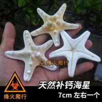 天然海星1个(微量元素) 寄居蟹食物合集 无糖天然椰子干脆片 补钙鱼干虾干 专用蟹粮饲料