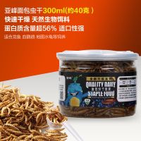[冻干锁鲜]净重约40克 亚峰大型鱼面包虫干龙鱼饲料黄粉虫干仓鼠龟罗汉血鹦鹉地图鱼粮食