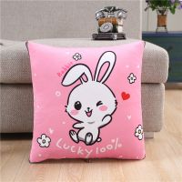 幸运兔 双面绒夏版中号普通款100x150 抱枕被子两用加厚汽车载办公室午睡枕头靠枕折叠空调毯二合一靠垫