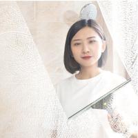 金锚一柄两用擦玻璃玻璃刮短杆家用玻璃刮水器玻璃刷子窗户擦窗器