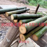 精选实心竹1根 原料 精品实心竹手把件毛料精磨老玉竹挂件精磨老玉竹挂件