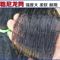 穿单引线网眼4.0CM[1条] 户外围网拦鸡网养殖网防护网防虫网尼龙网轮胎网子网片渔网