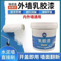 乳胶漆（500 克)送毛刷 承泰油漆家用内墙涂料刷墙粉室内乳胶漆白色彩色腻子粉修墙膏