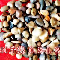 地暖石0.8-1.2cm 天然鹅卵石铺路小石子花盆鱼缸高抛光五彩石头精品雨花石园艺造景
