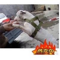 绿色不包棉背带 超小型20-30斤狗用 猛犬背带猛犬类杜高宠物狗比特犬训练用品装备专用加棉背带加项圈
