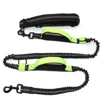 黑绿色 宠物牵引带狗狗跑步牵狗绳狗链子中小型犬柯基拴狗绳户外遛狗腰带