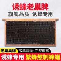 纯天然老巢脾一张 诱蜂脾带框老巢脾成品巢框中蜂土蜂巢础养蜂专用蜂巢蜂具