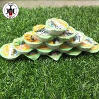 果冻10个 独角仙成虫果冻 昆虫甲虫专用食物 延长成虫寿命 繁殖增产