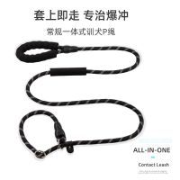 常规反光版/1.8米/黑色 S码/小型犬/约15斤内 防爆冲训练狗狗牵引绳P链P绳柯基金毛拉布拉多中大型犬狗绳狗链子