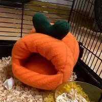 胡萝卜 S 仓鼠窝金丝熊棉窝刺猬窝兔子窝蜜袋鼯鼠窝荷兰猪龙猫棉窝
