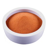 魅桔红 1000g 爬虫沙垫材鬃狮蜥蜴守宫用品爬宠沙饲养沙漠造景装饰钙砂宠物