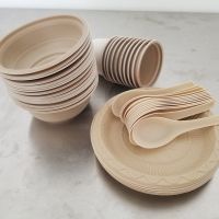 10套散装[送10双筷子] 一次性秸秆餐具碗筷勺子杯子套装喜宴户外聚餐烧烤加厚