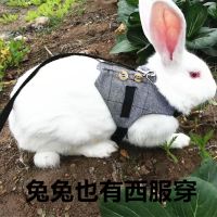 兔礼服S号 兔子牵引绳垂耳兔胸背带遛兔绳兔兔礼服兔西服猫绳溜猫绳猫咪西服