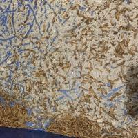 面包虫 100条 (1-2cm) 面包虫黄粉虫鲜活活体饲料食物龟鱼仓鼠蜥蜴爬宠虫饲料守宫食物