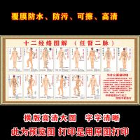 YT3 人体十二经络图 字字高清 更大尺寸联系客服 人体十二经络穴位图解任督二脉贴画中医养生保健穴位挂图海报墙贴
