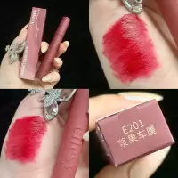 E201浆果车厘 艾瑟诗丝绒雾面哑光丝绒哑光 轻薄如雾 唇釉