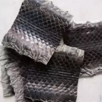 京胡皮二胡皮乌稍皮京胡配件二胡配件10公分宽,10公分长一片 京胡皮二胡皮乌稍皮京胡配件二胡配件10公分宽,10公分长一