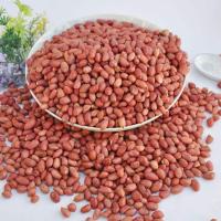 一斤去壳红花生(花生盒专用) 种花生芽发芽神器水培箱种植盒专用盘豆苗育苗盆种子籽机豆芽菜罐